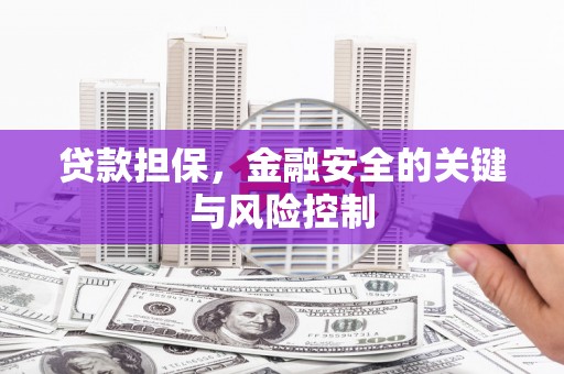 罗城贷款担保，金融安全的关键与风险控制