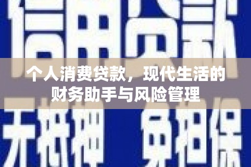罗城个人消费贷款，现代生活的财务助手与风险管理