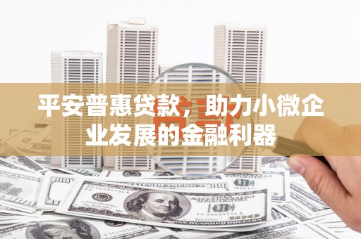 罗城平安普惠贷款，助力小微企业发展的金融利器