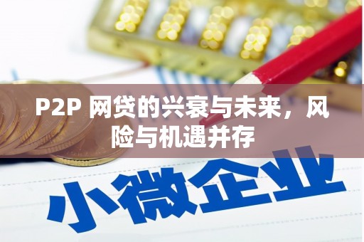 罗城P2P 网贷的兴衰与未来，风险与机遇并存