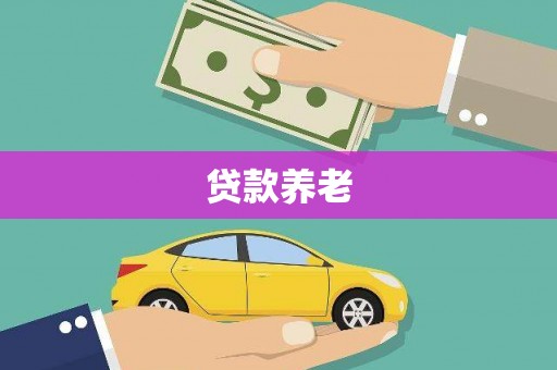 罗城贷款养老