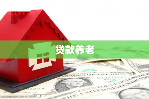 罗城贷款养老