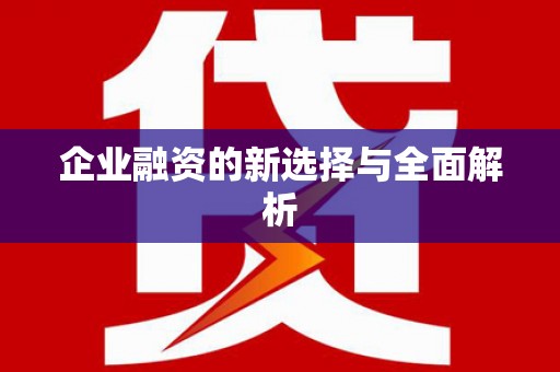 罗城企业融资的新选择与全面解析