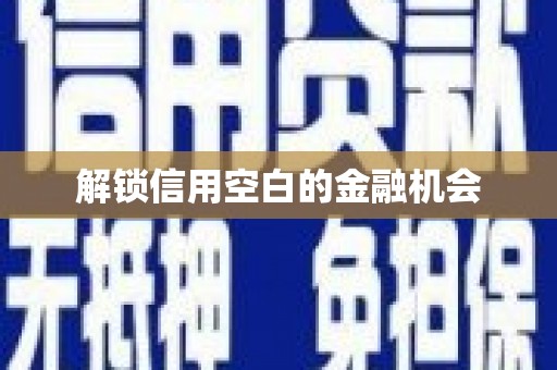 罗城解锁信用空白的金融机会