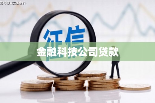 罗城金融科技公司贷款