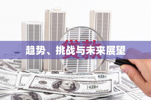 罗城趋势、挑战与未来展望