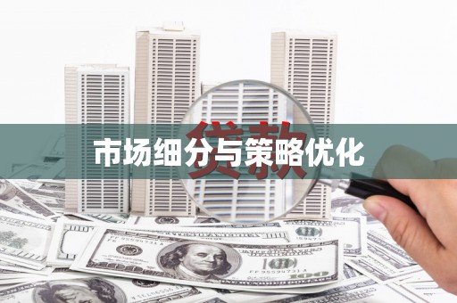罗城市场细分与策略优化