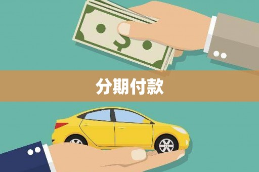 罗城分期付款