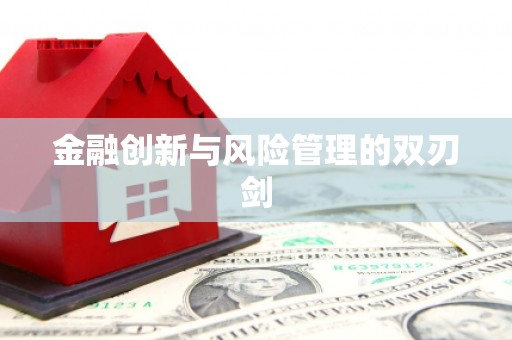 罗城金融创新与风险管理的双刃剑