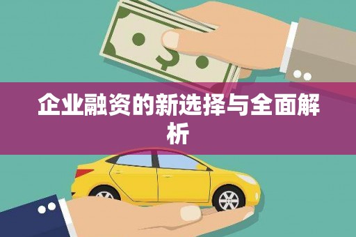 罗城企业融资的新选择与全面解析