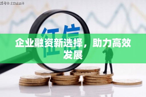 罗城企业融资新选择，助力高效发展