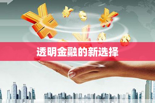 罗城透明金融的新选择