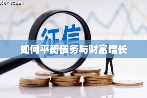 罗城如何平衡债务与财富增长