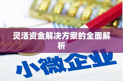 罗城灵活资金解决方案的全面解析