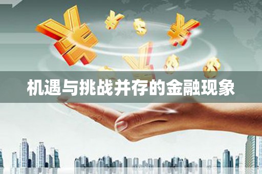 罗城机遇与挑战并存的金融现象