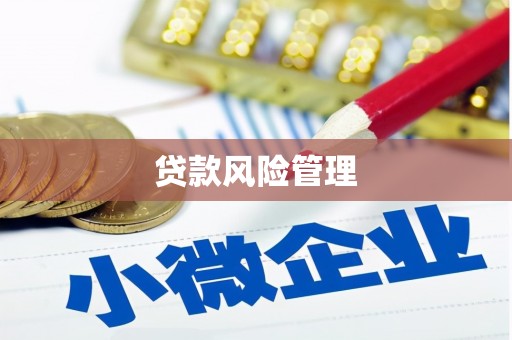 罗城贷款风险管理