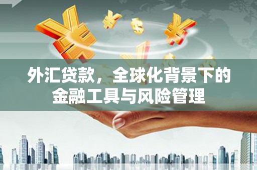 罗城外汇贷款，全球化背景下的金融工具与风险管理