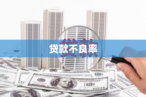 罗城贷款不良率