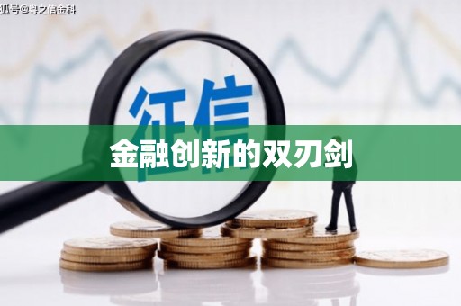 罗城金融创新的双刃剑